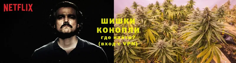 Бошки марихуана SATIVA & INDICA  Карпинск 